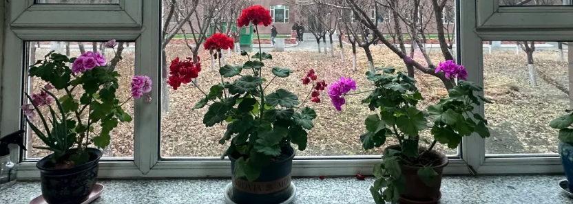 屏幕截图 2025-03-28 000149.png