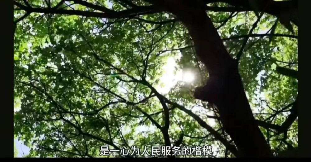 微信图片_20250330185110.jpg