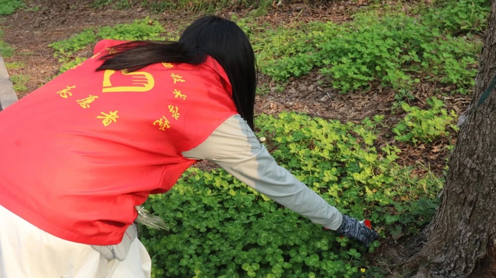 微信图片_20250330191037.jpg