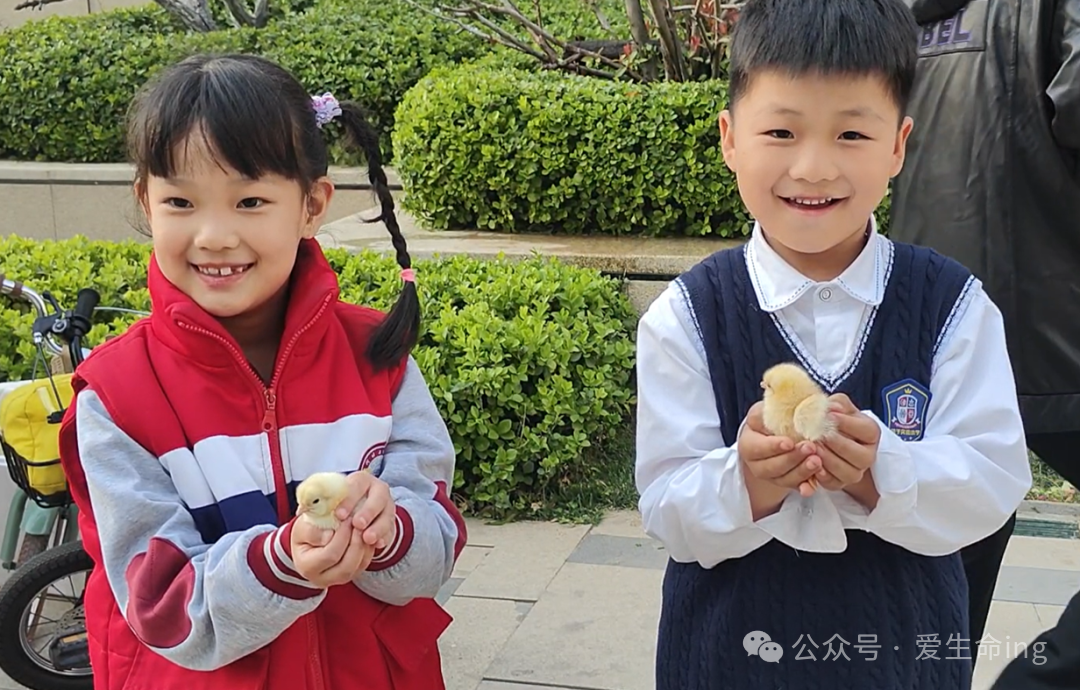 微信图片_2025-04-02_173257_289.png 微信图片_2025-04-02_173257_289.png