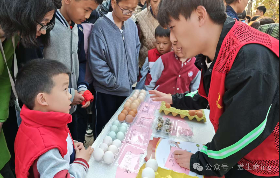 微信图片_2025-04-02_172606_704.png