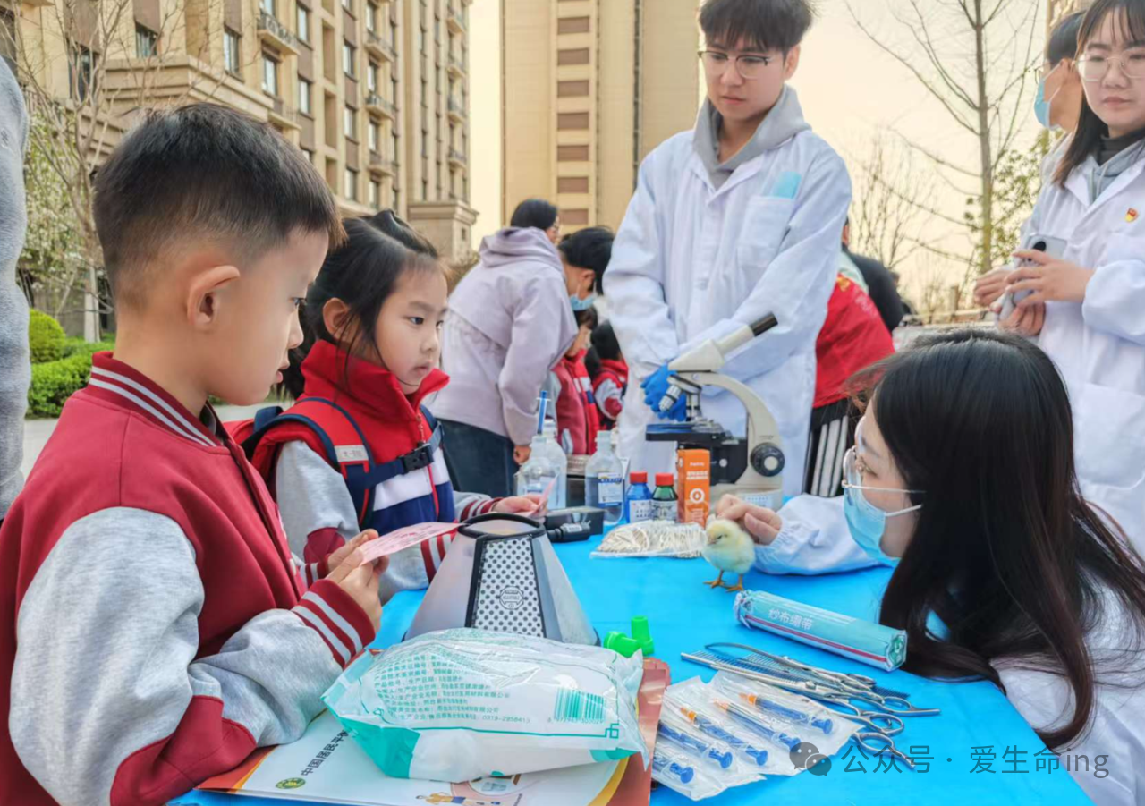 微信图片_2025-04-02_172612_225.png