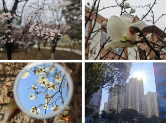 09471c6745f5bf8b3f4724ac56402f9.png 09471c6745f5bf8b3f4724ac56402f9.png