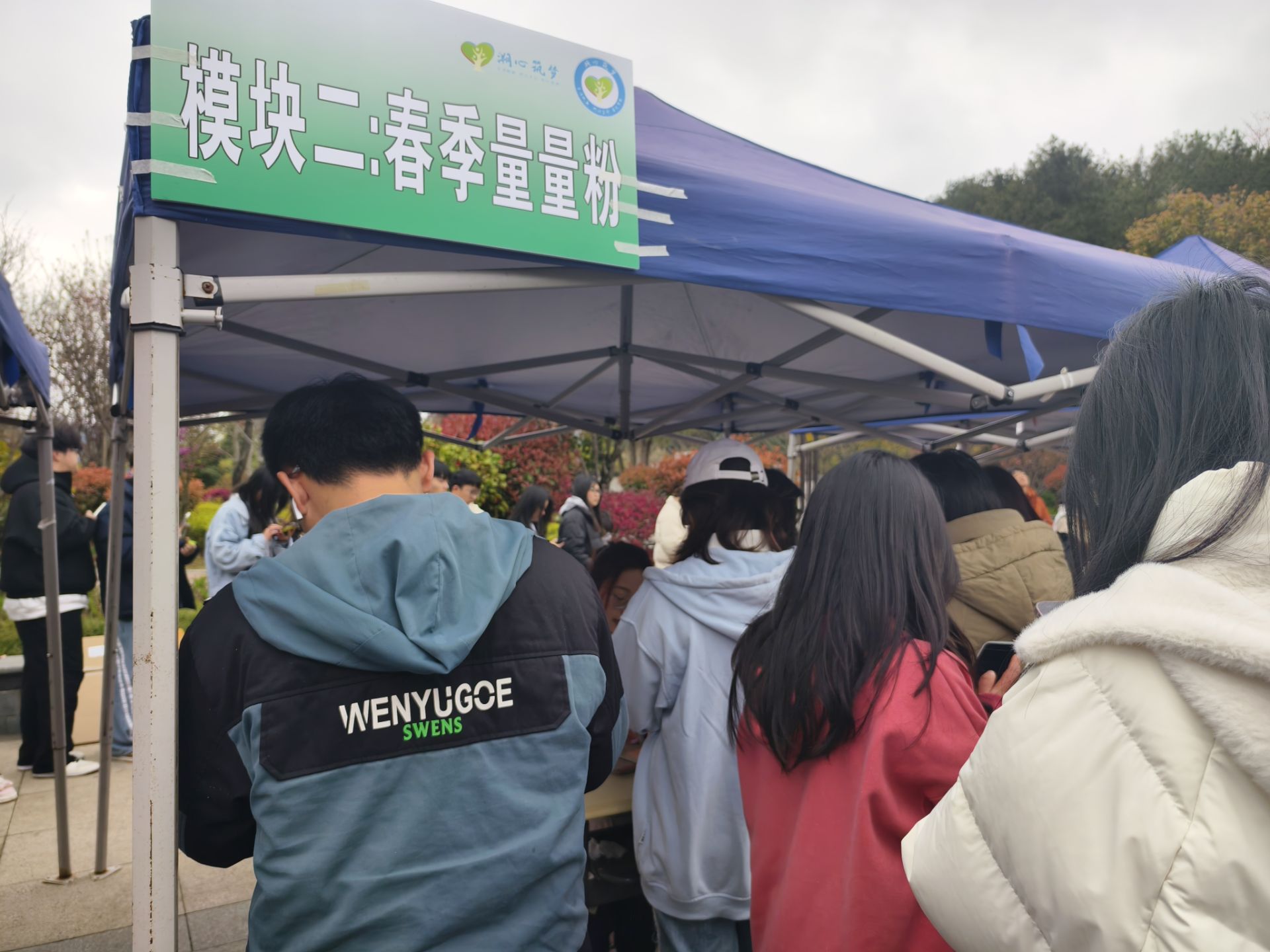 2.职业测评分析.jpg
