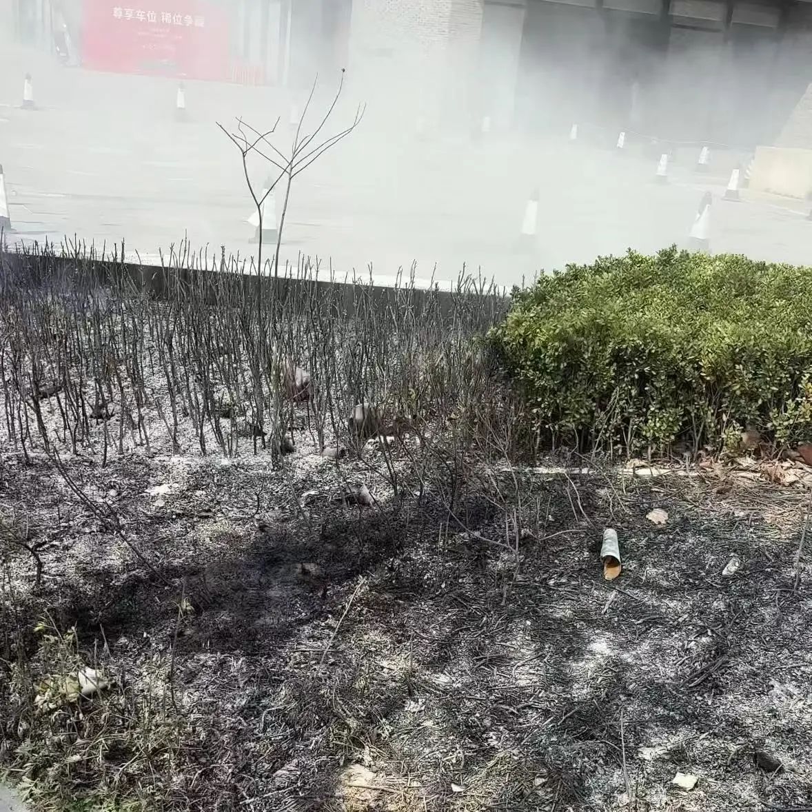 微信图片_20250403171649.jpg