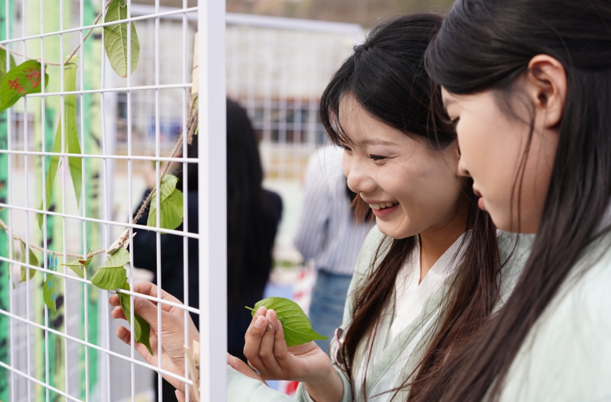 微信截图_20250407091840.png