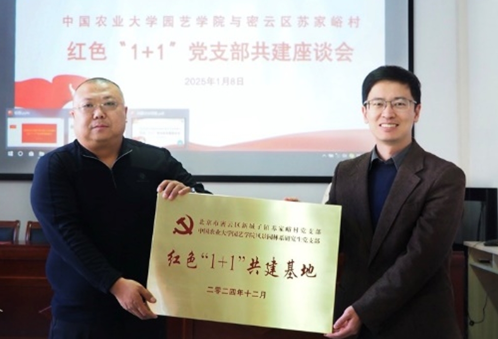 微信截图_20250113084743.png
