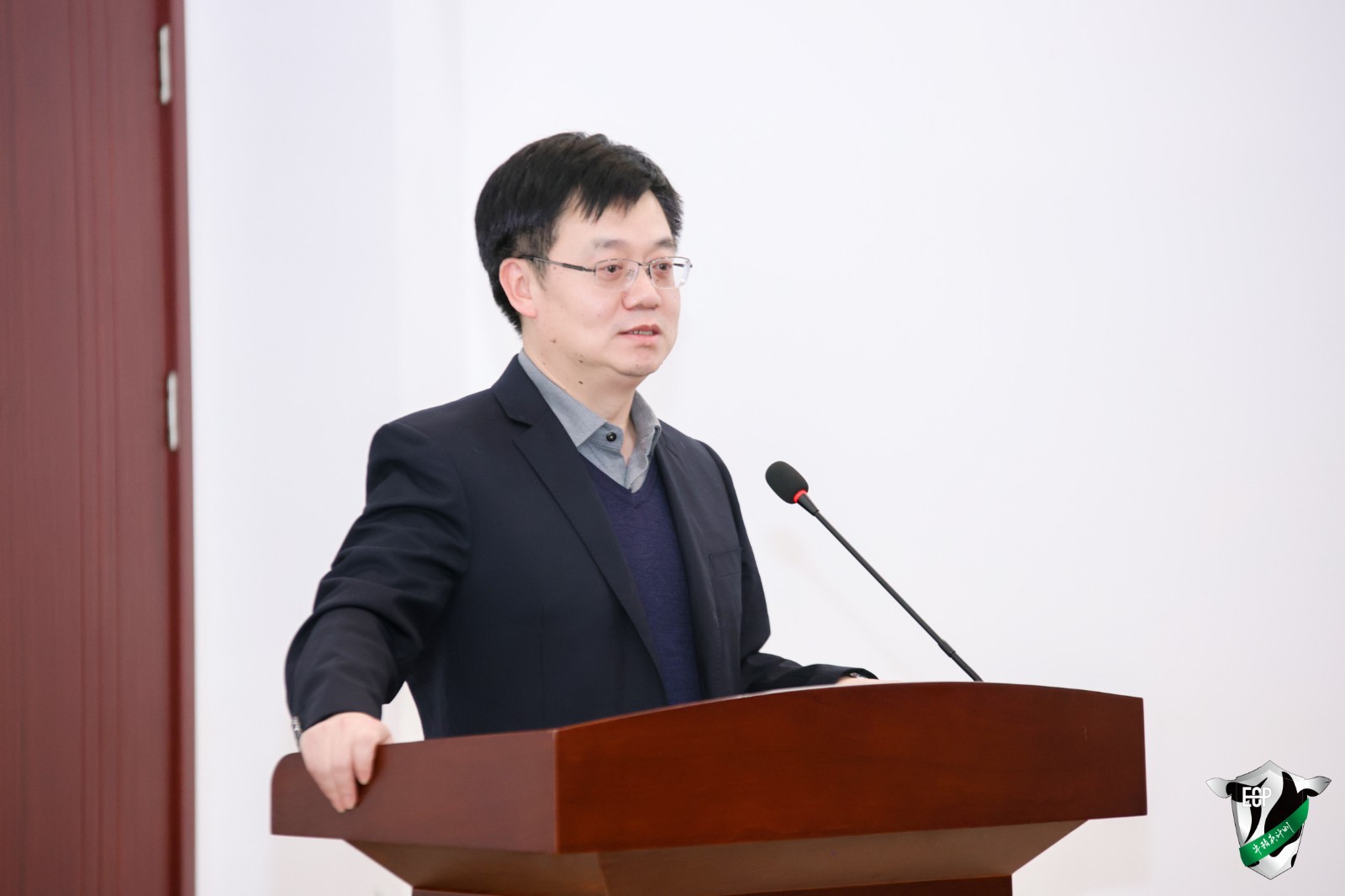 4王军军教授.jpg