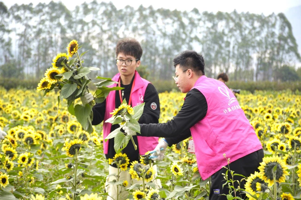 微信图片_20250408165918.jpg 微信图片_20250408165918.jpg