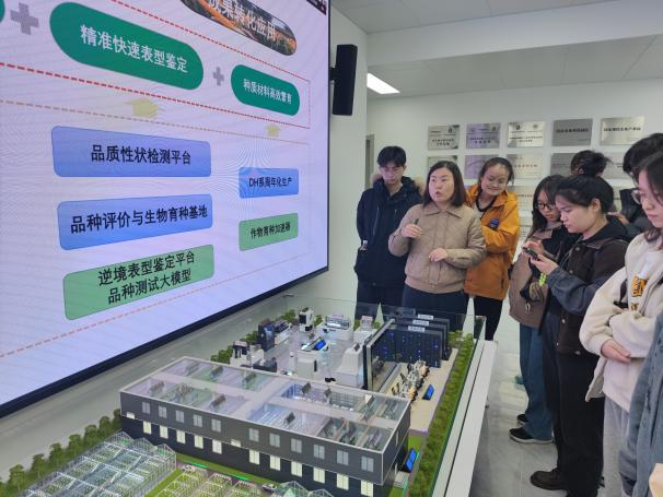 1731915612956015539.png 1731915612956015539.png