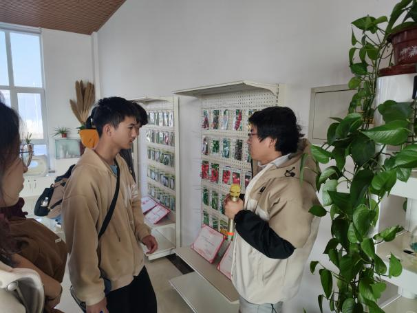 1731915647882057481.png 1731915647882057481.png