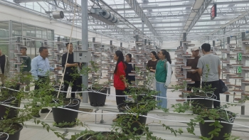 1731901134232013201.jpg 1731901134232013201.jpg