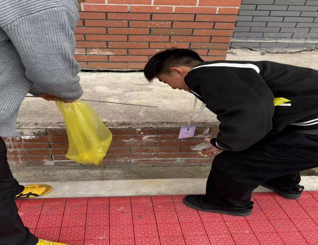 图片10.png