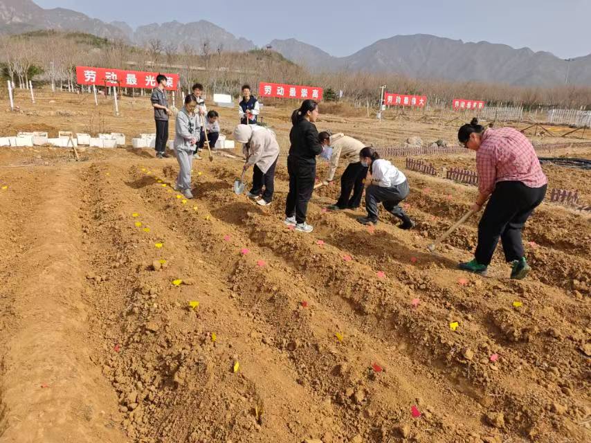 播种3.jpg 播种3.jpg