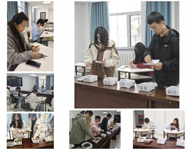 截图_选择区域_20250411071048.png