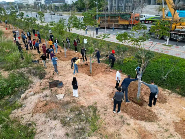 fc338743-c76f-4417-a255-033e2b058aeb.png fc338743-c76f-4417-a255-033e2b058aeb.png