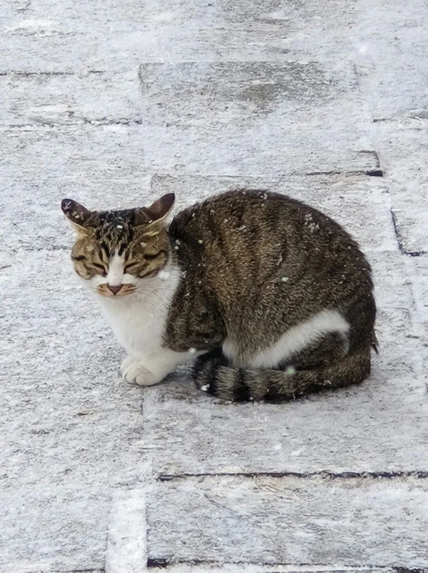 640 (31).jpg 640 (31).jpg