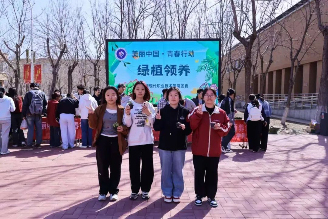 绿植10.jpg
