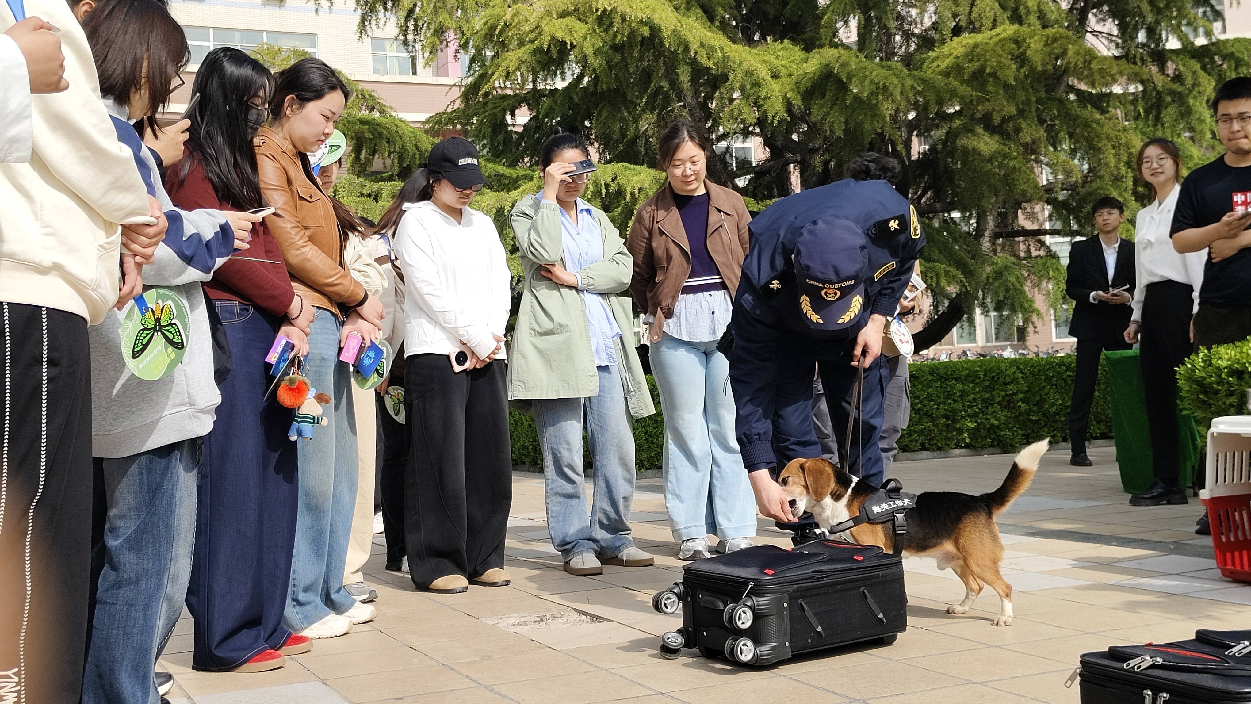 学生党员参观警犬表演.jpg