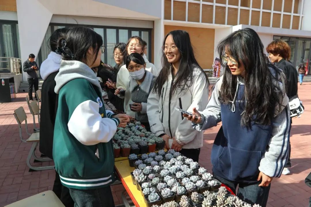 绿植6.jpg