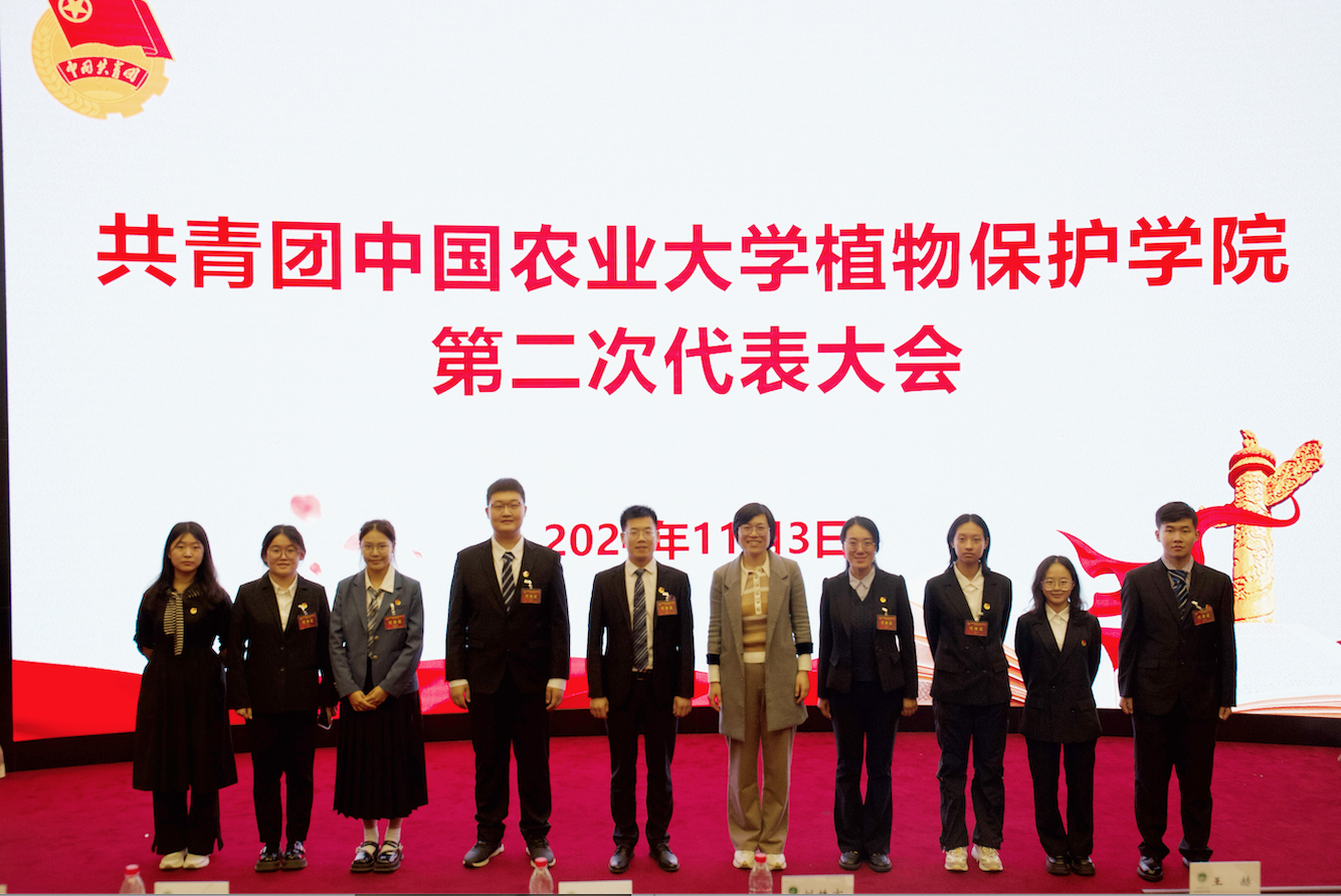 截屏2024-11-05 上午9.46.19.png