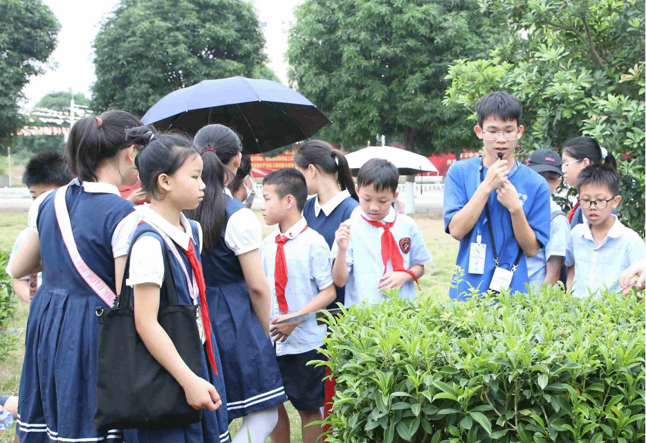 讲解员认真介绍校园植物2.png