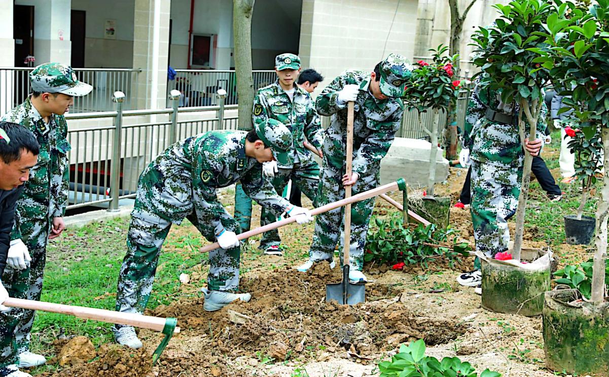 月季种植现场.png