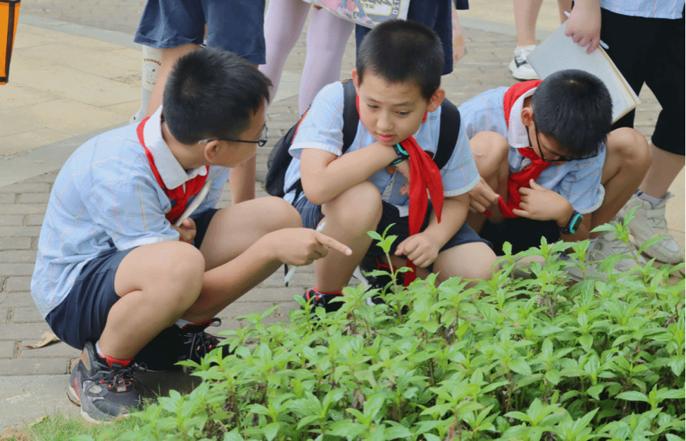 学生积极讨论.png