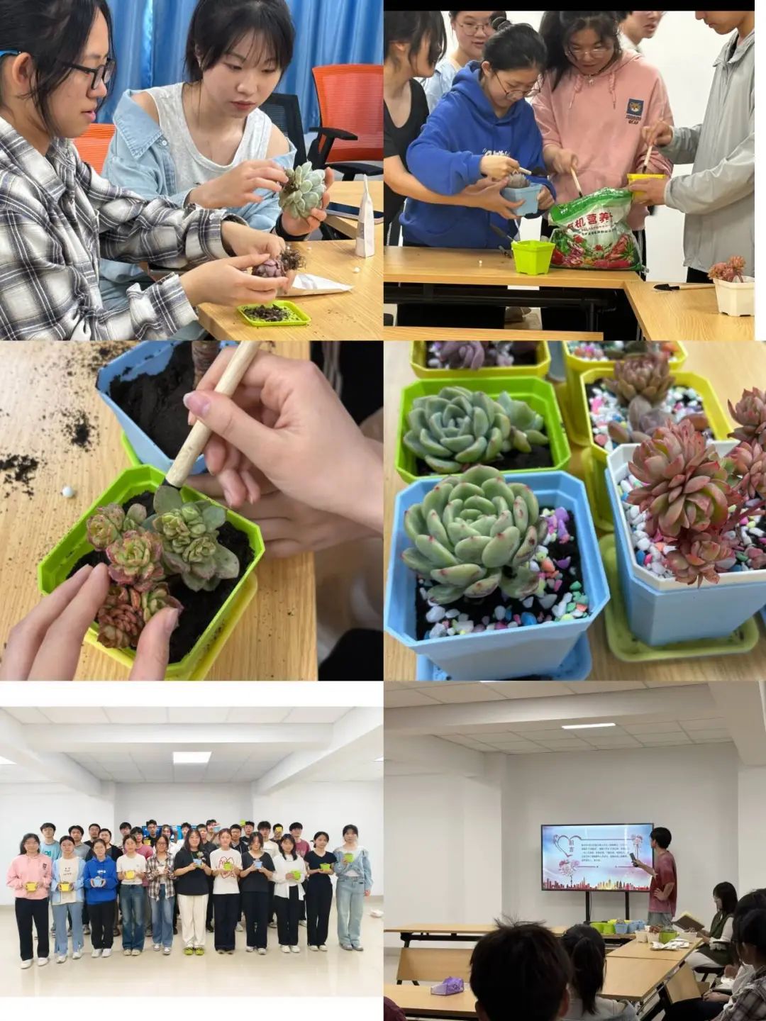微信图片_20250416121157.jpg