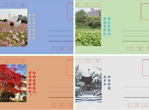 图片1.png