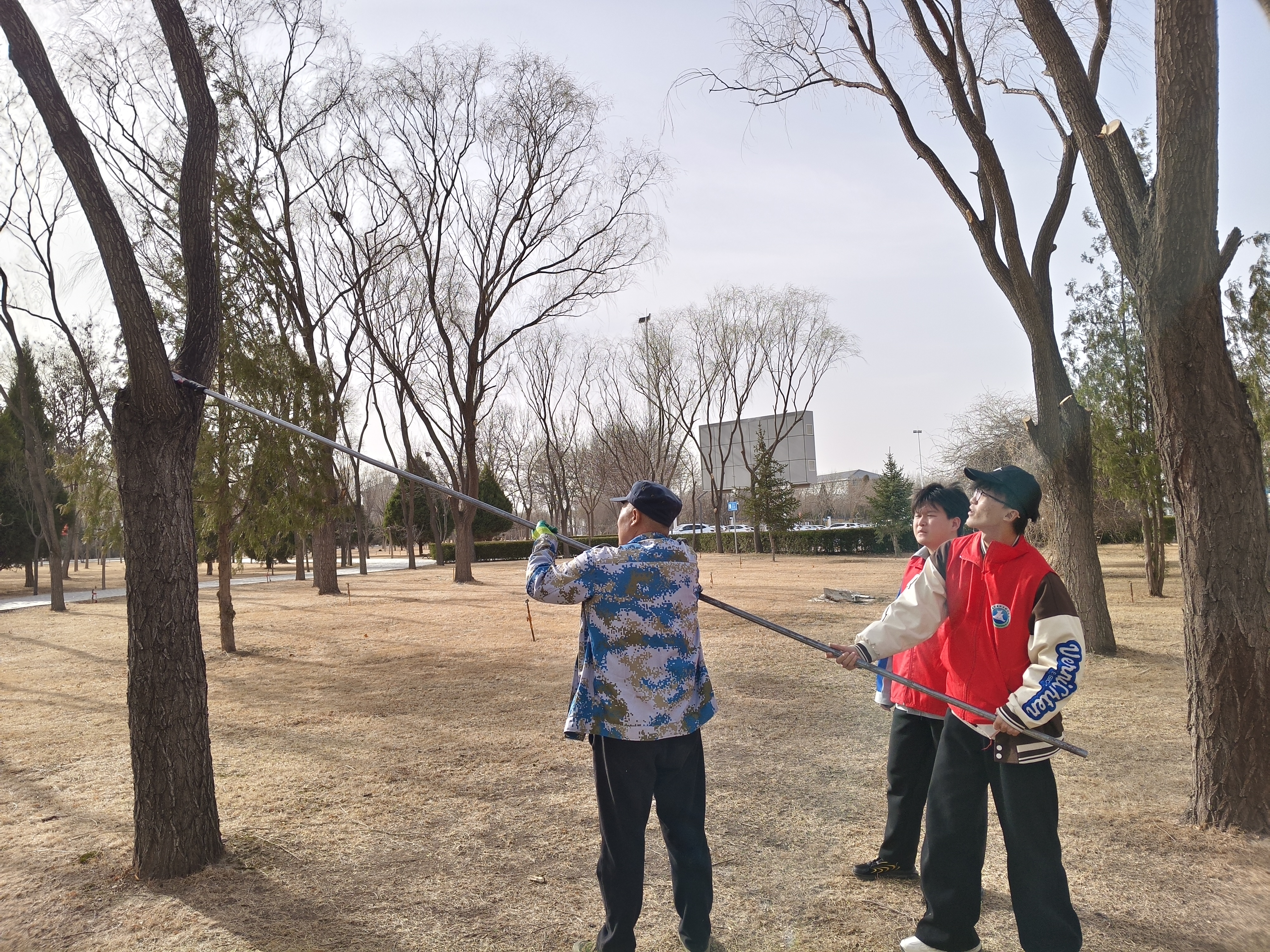 图14.剪树枝.jpg