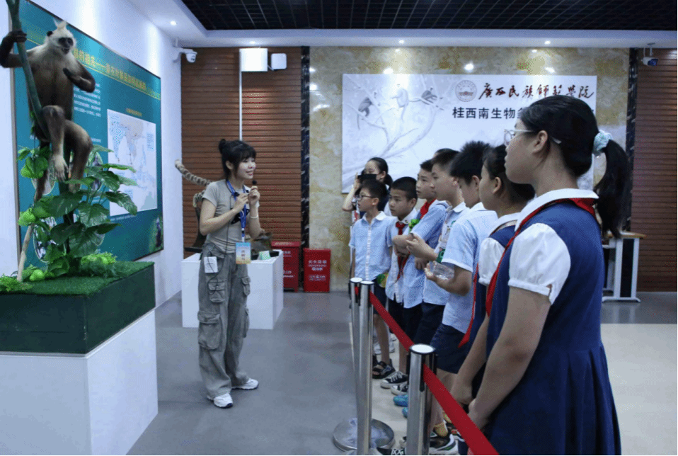 讲解员讲解桂西南生物多样性展示馆.png