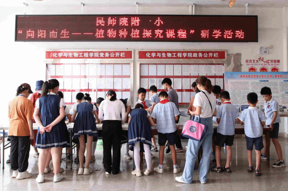 学生进行刷叶脉活动.png