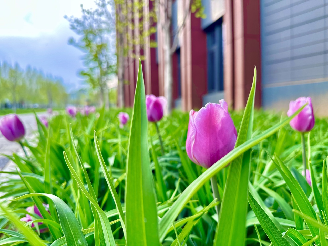 8cac3cfa-d444-4191-a357-17adb9b791ae.jpg 8cac3cfa-d444-4191-a357-17adb9b791ae.jpg