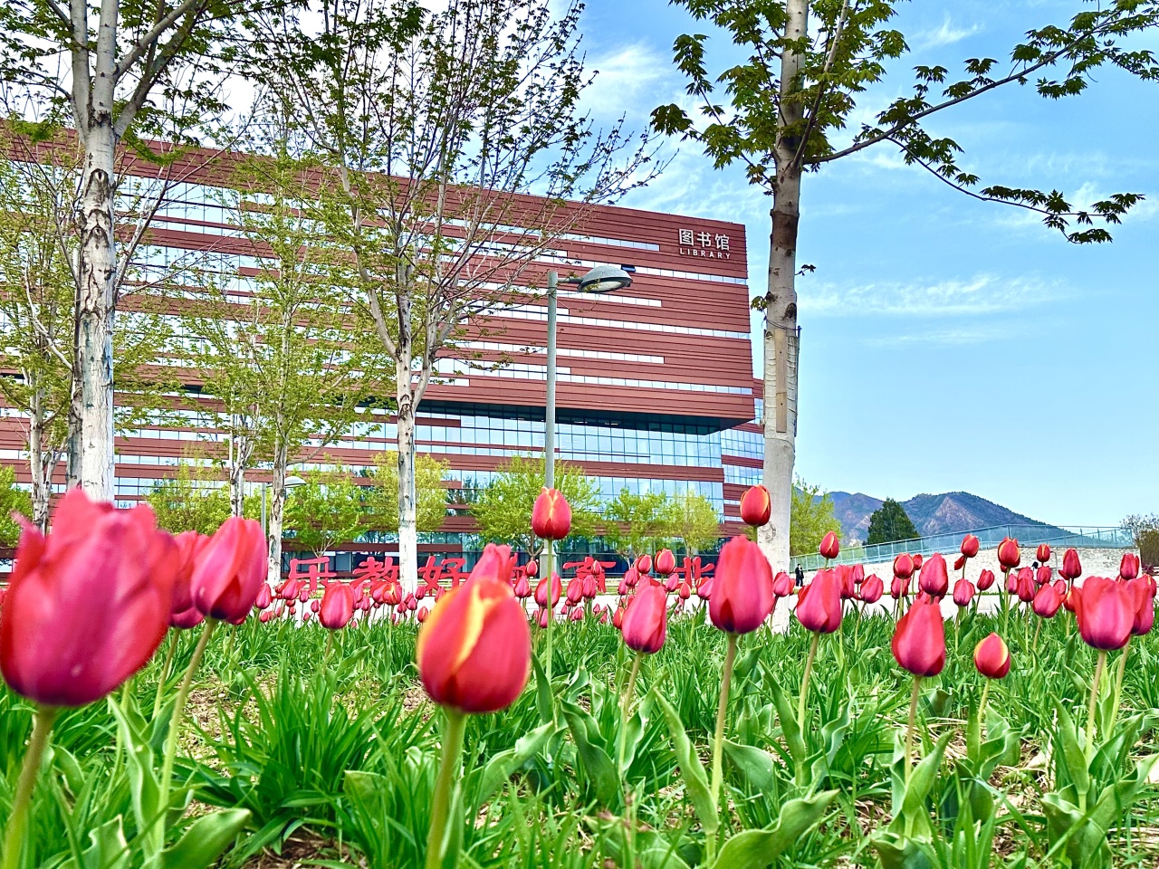 b78a2e43-1137-4d48-911c-e8b2a7738a0d.jpg b78a2e43-1137-4d48-911c-e8b2a7738a0d.jpg