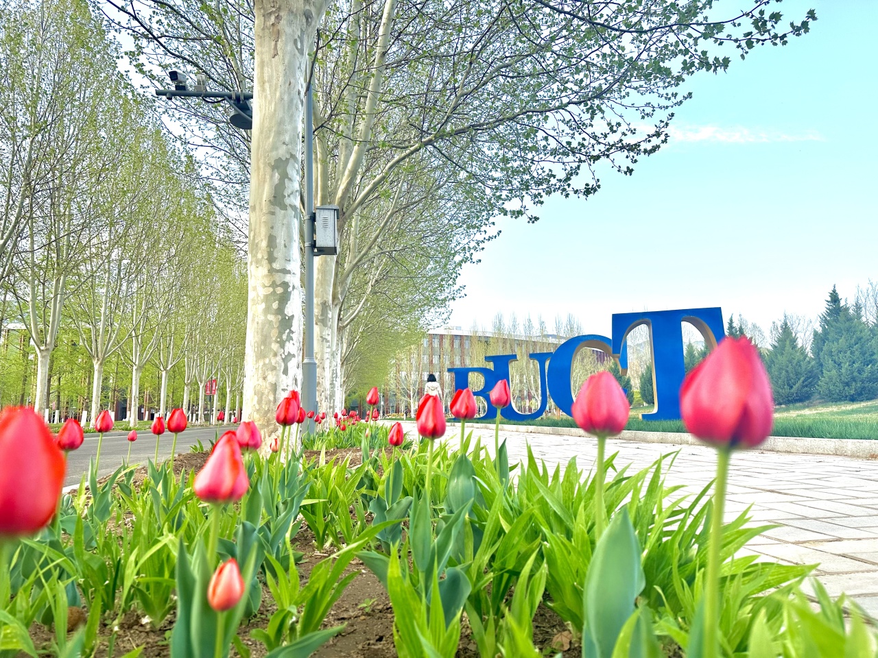 9c8b736f-b7af-4a89-b01e-727c79b12832.jpg 9c8b736f-b7af-4a89-b01e-727c79b12832.jpg