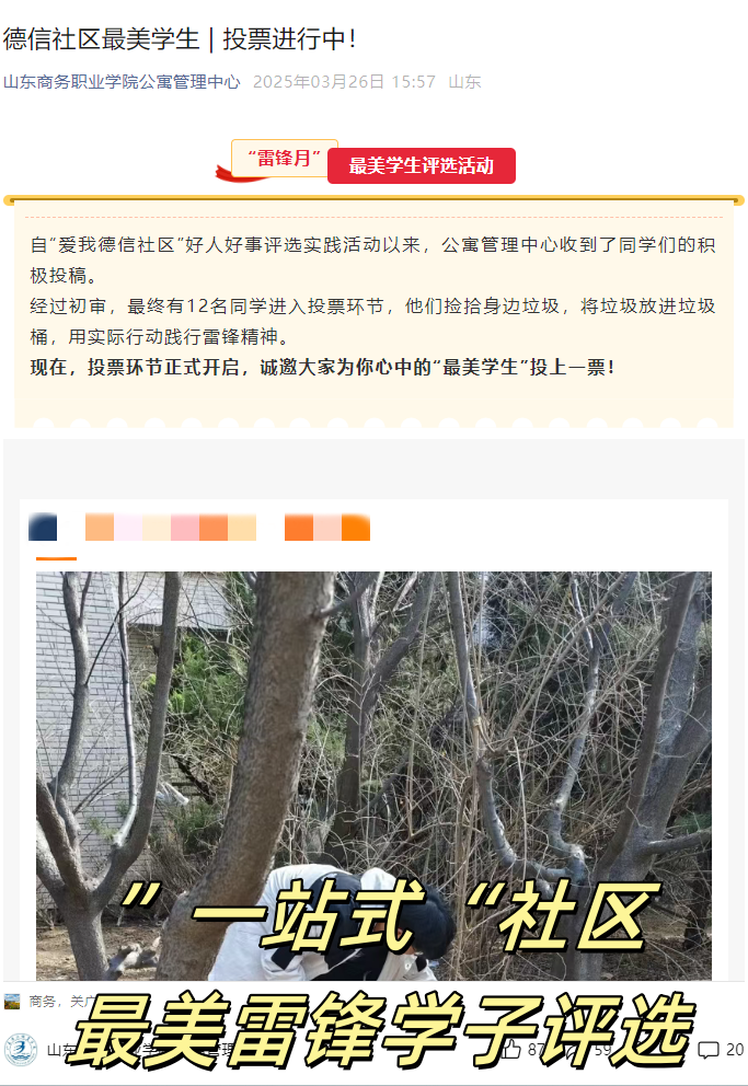 雷锋月 典型评选_副本.png