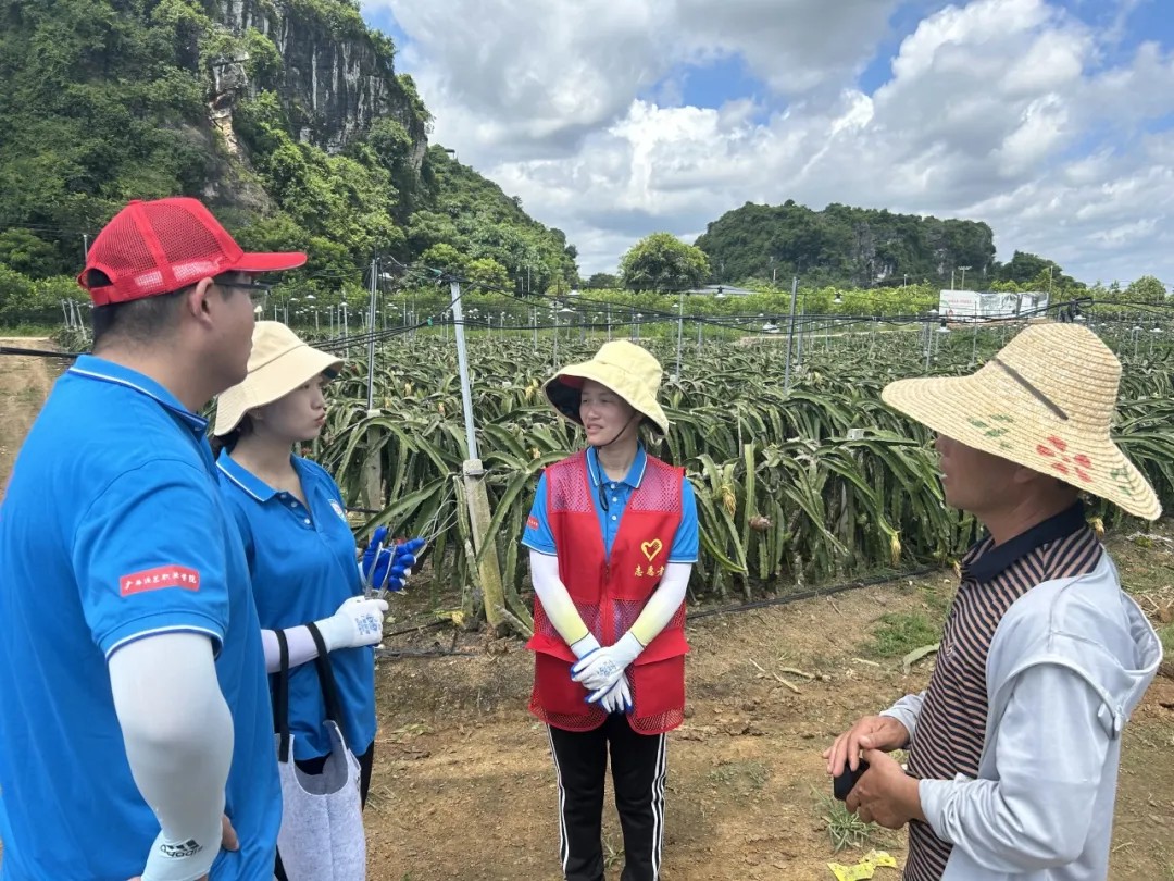 三下乡活动照片