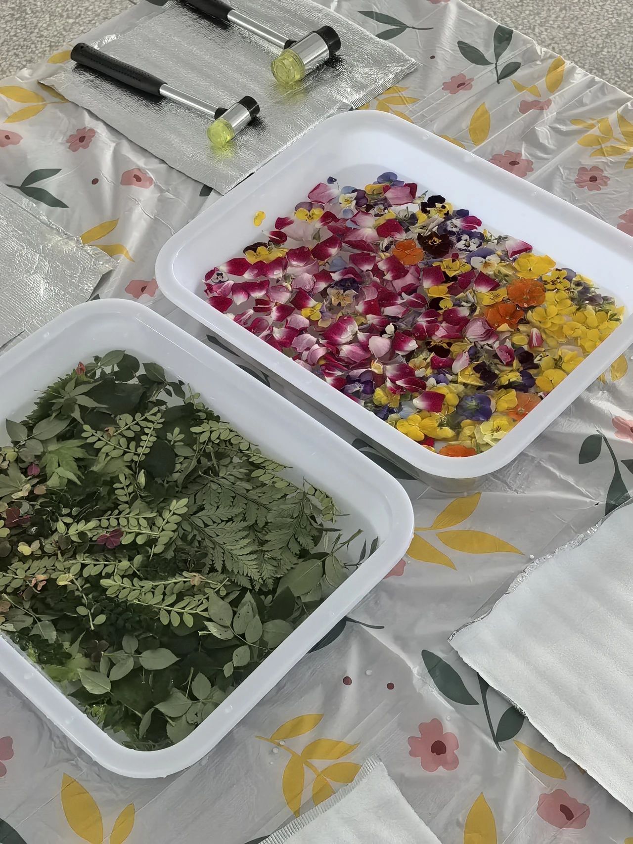 微信图片_20250418141122.jpg 微信图片_20250418141122.jpg