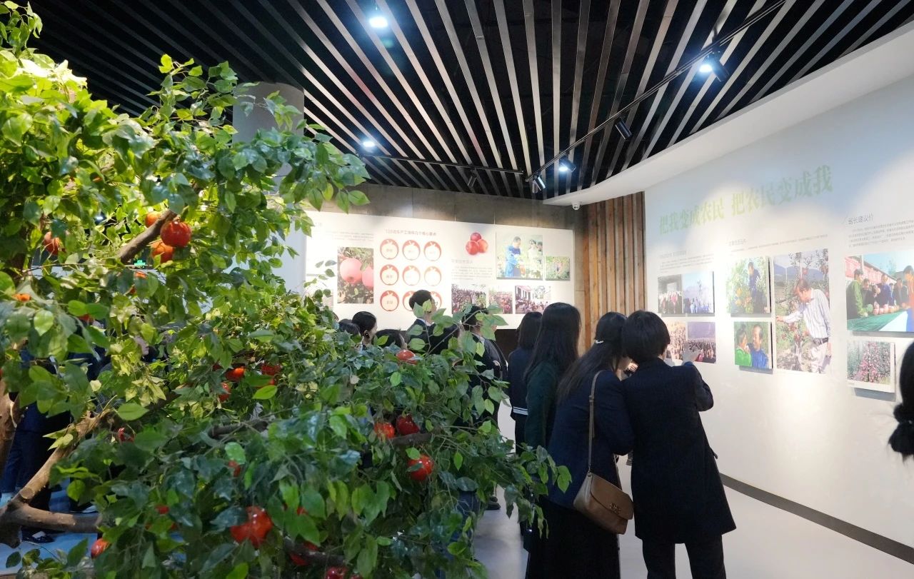 微信图片_20250421082908.jpg 微信图片_20250421082908.jpg