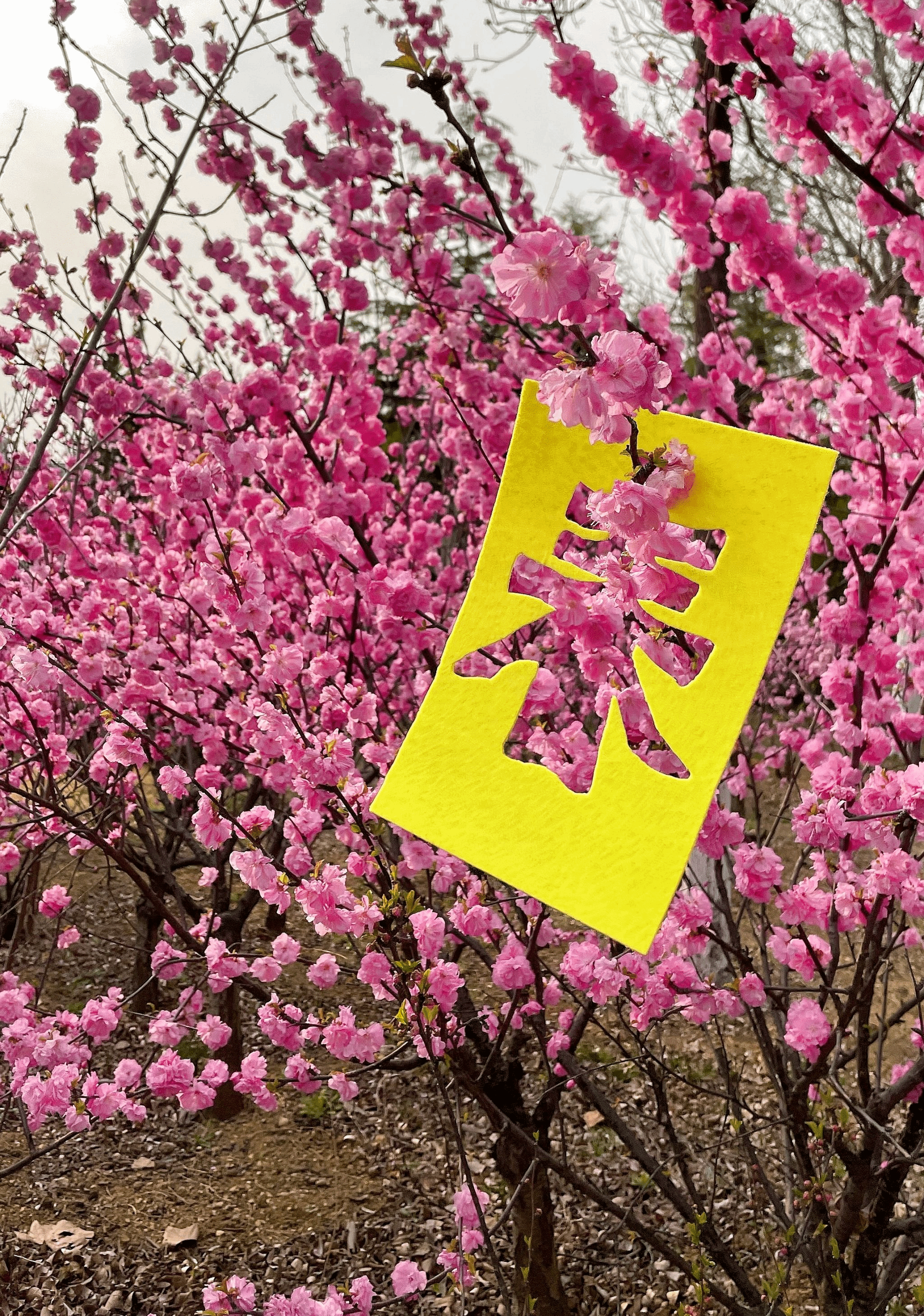 virtual_attach_file (12).png virtual_attach_file (12).png