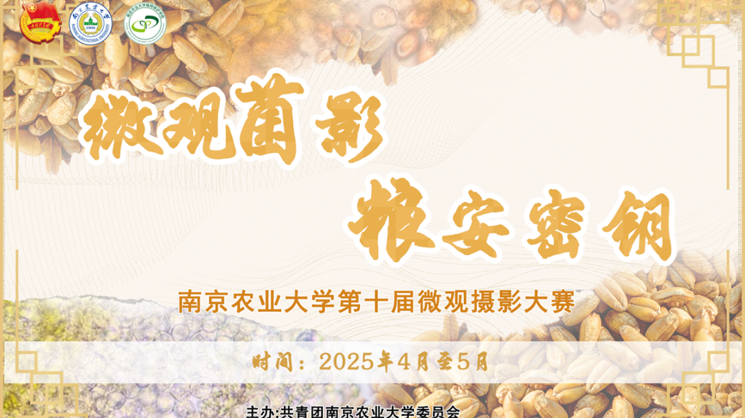 微信图片_20250421150616.png