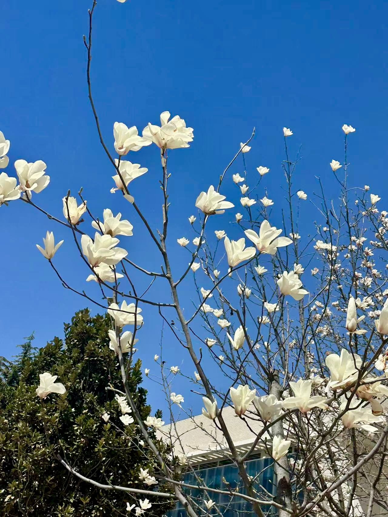 virtual_attach_file (2).jpg virtual_attach_file (2).jpg