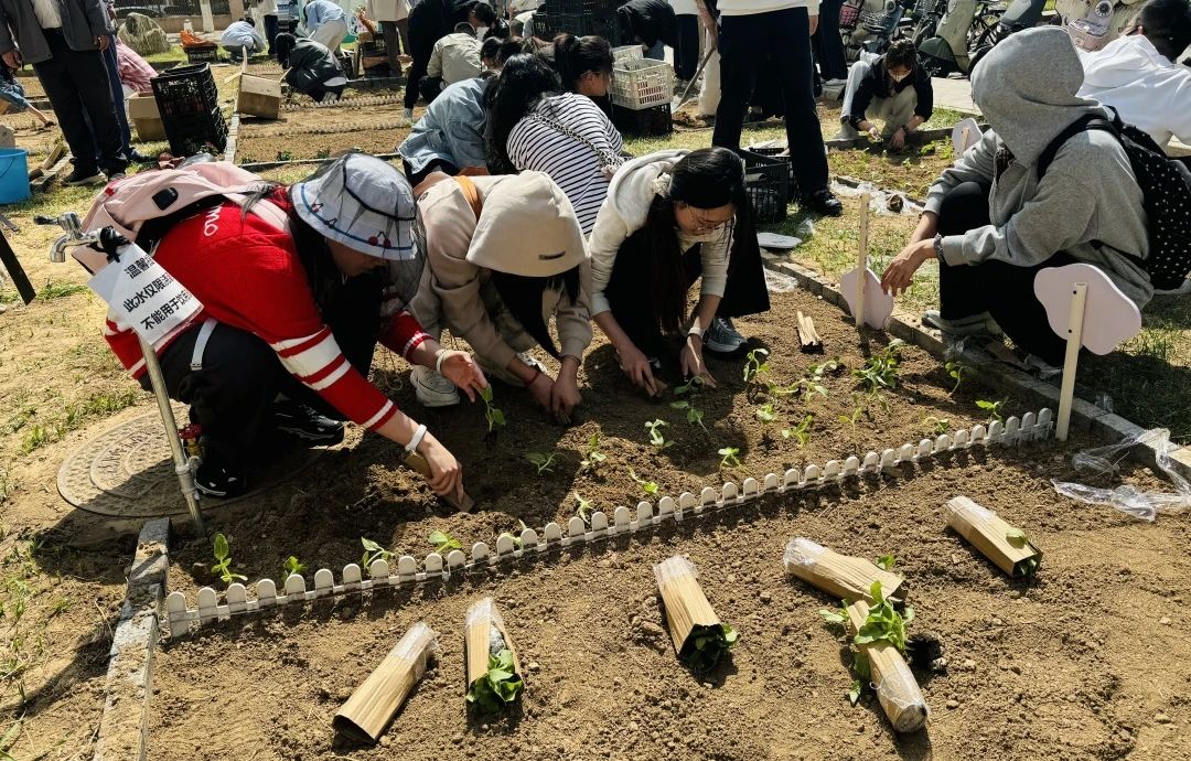 微信图片_20250422102248.jpg 微信图片_20250422102248.jpg