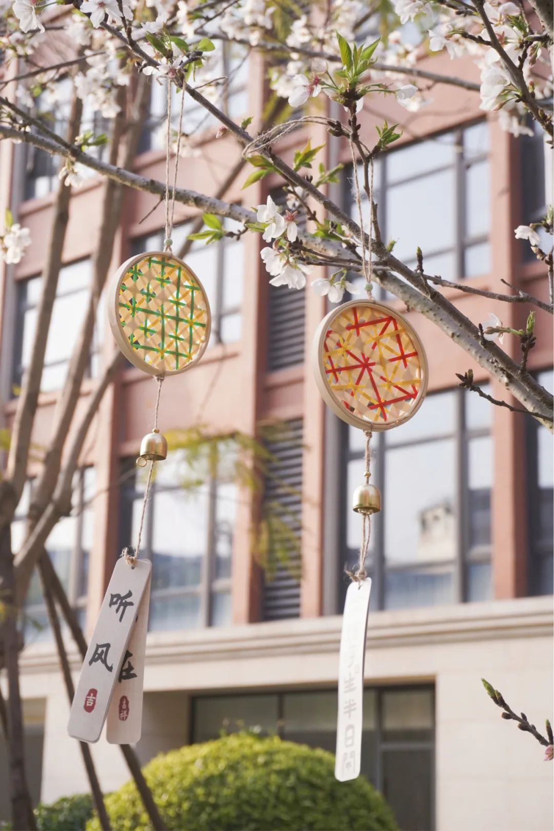 图片1.png 图片1.png