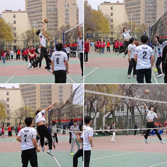 男子排球比赛现场.png 男子排球比赛现场.png