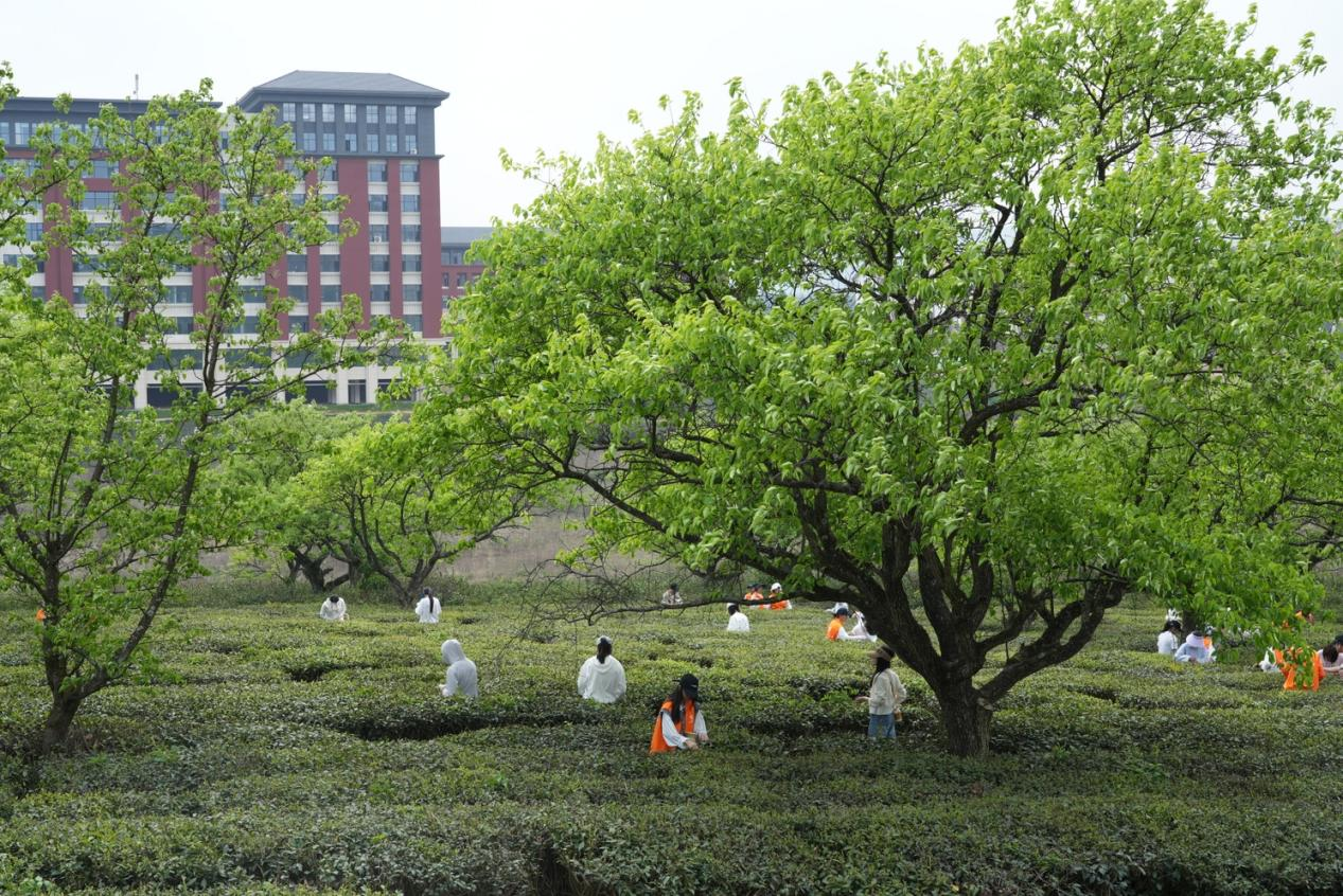 111111111111111.png 111111111111111.png