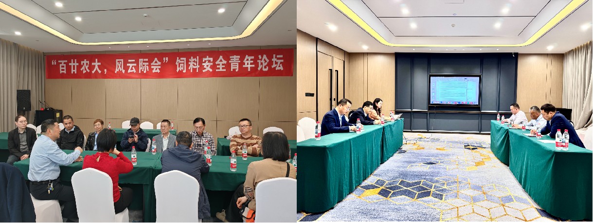 座谈.jpg