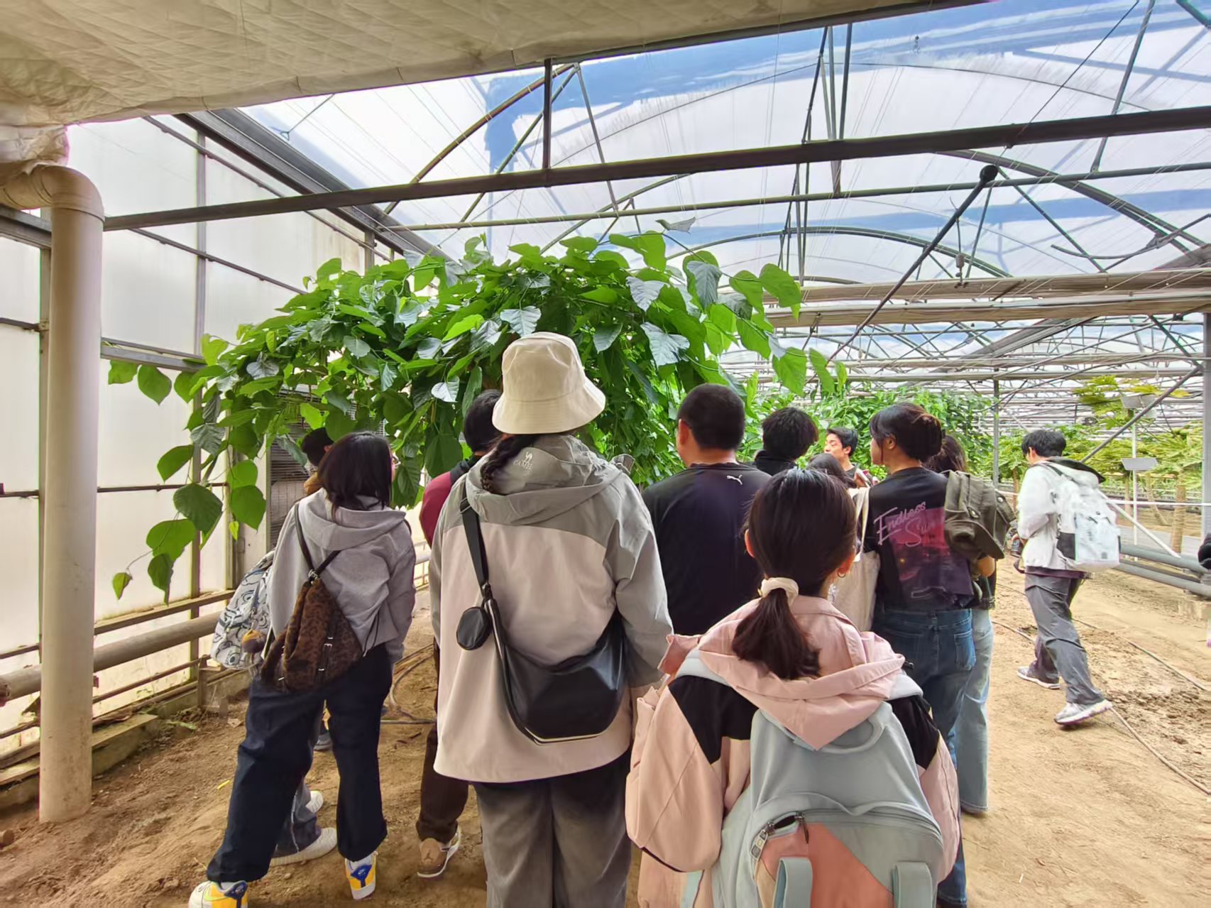 1745310459748060381.jpg 1745310459748060381.jpg