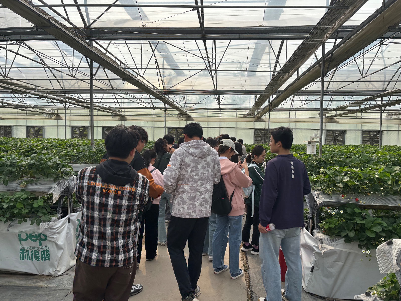 1745310195796041466.jpg 1745310195796041466.jpg